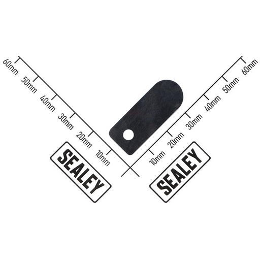 Sealey Valve Reed