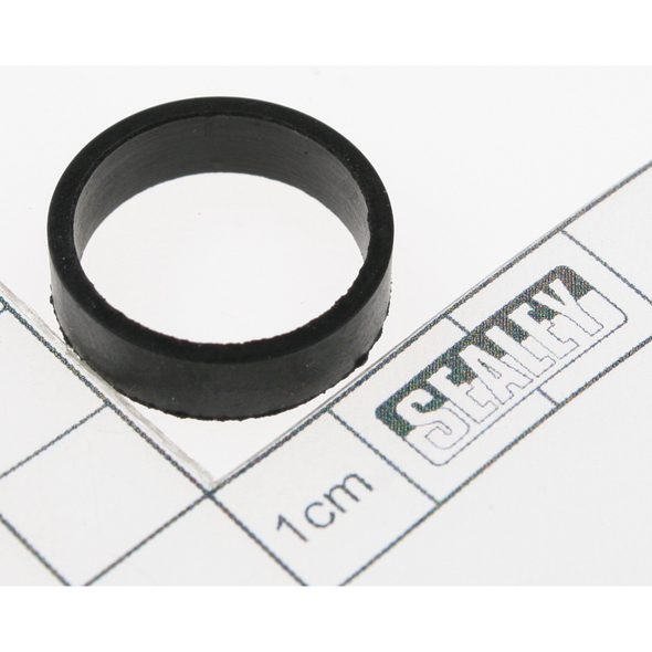 Sealey Damping ring