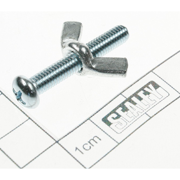 Sealey Screw & nut