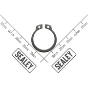 Sealey Retaining screw