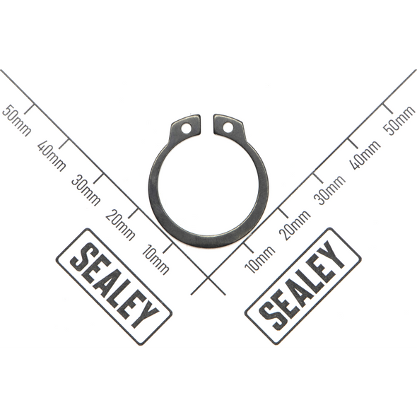 Sealey Retaining screw
