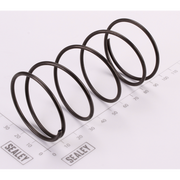 Sealey Steel Ball Block Spring