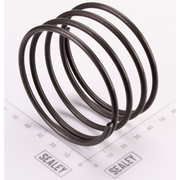 Sealey Clutch Spring