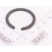 Sealey Damping Ring