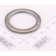 Sealey Torque Damping Ring Washer
