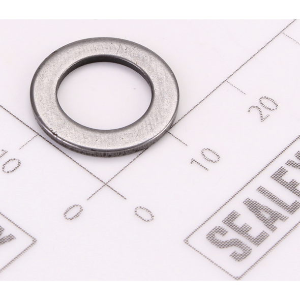 Sealey Cylinder Washer