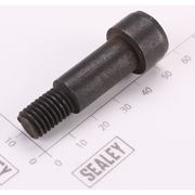 Sealey Damping Screw