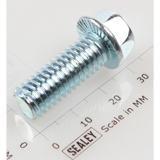 Sealey Hex head flange bolt m10x25 single