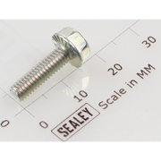 Sealey Hex head flange bolt m4x14 single