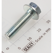 Sealey Hex head flange bolt m6x25 single