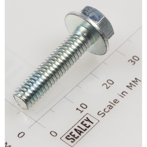 Sealey Hex head flange bolt m6x25 single
