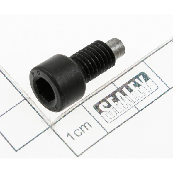 Sealey Screw