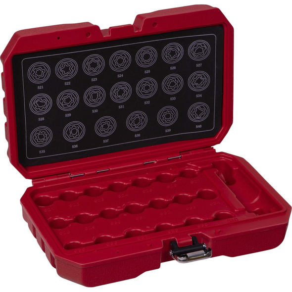 Sealey Blow Mould Case