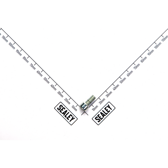 Sealey Screw (m6x12)