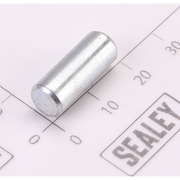 Sealey Lower pilot pin