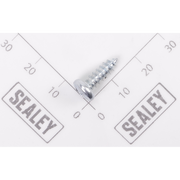 Sealey Pan head screw