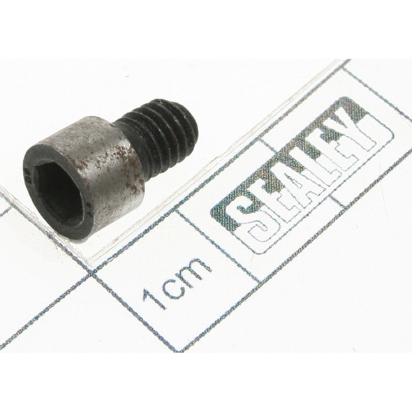 Sealey Screw