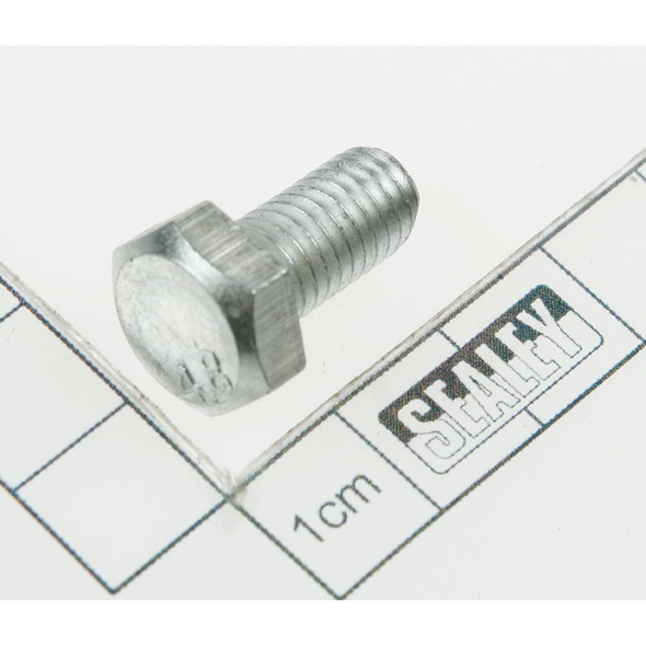 Sealey Motor screw