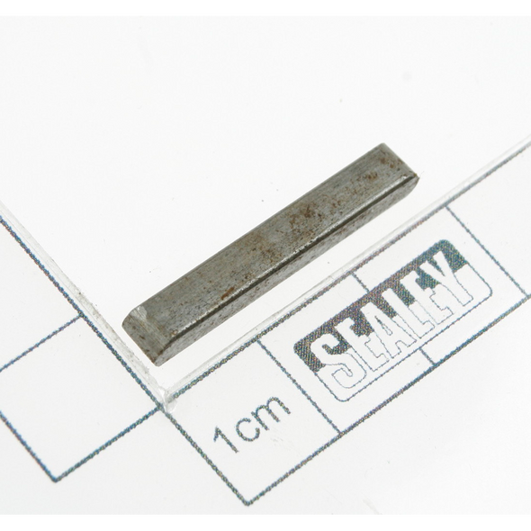 Sealey Pin