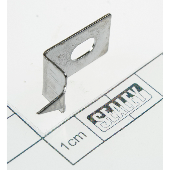 Sealey Pointer