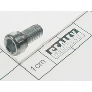 Sealey Screw (m6x10)