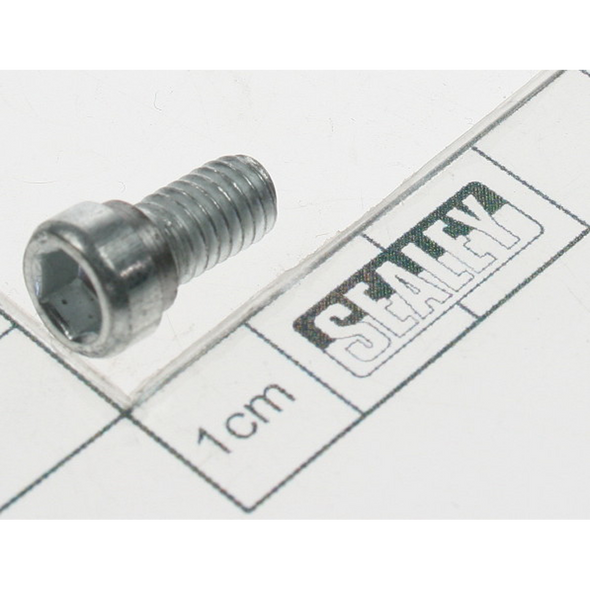 Sealey Screw (m6x10)