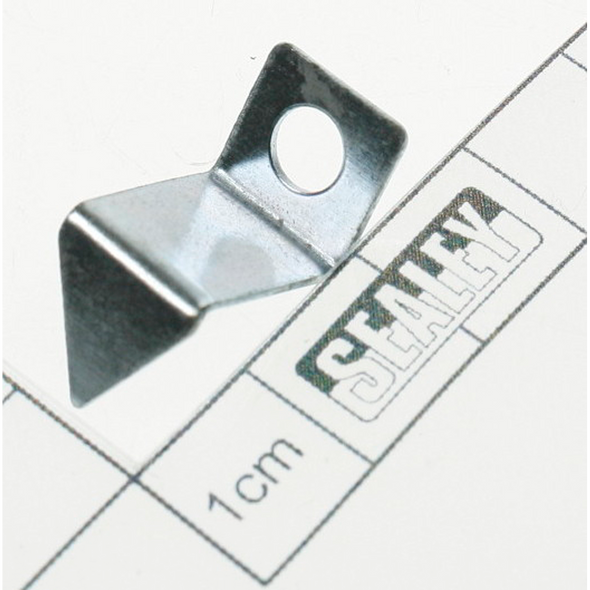 Sealey Pointer