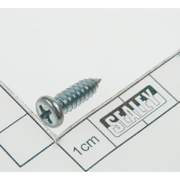 Sealey Rd head s/t screw m5x16