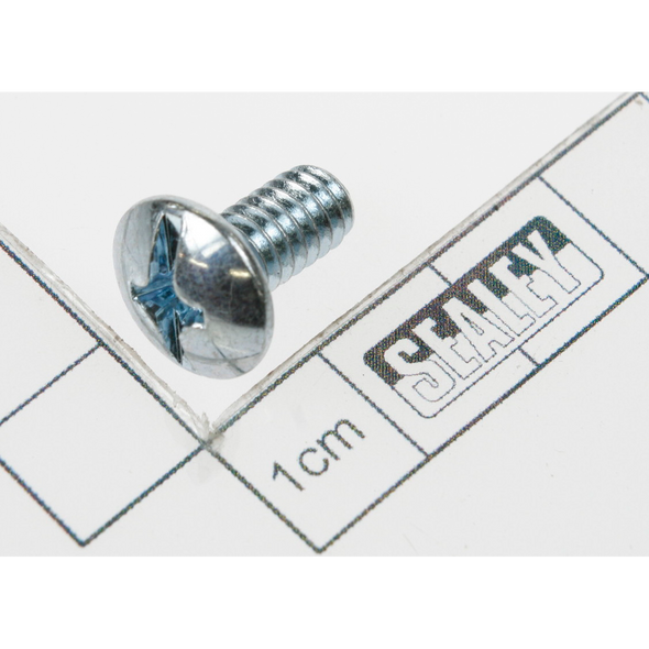 Sealey Screw