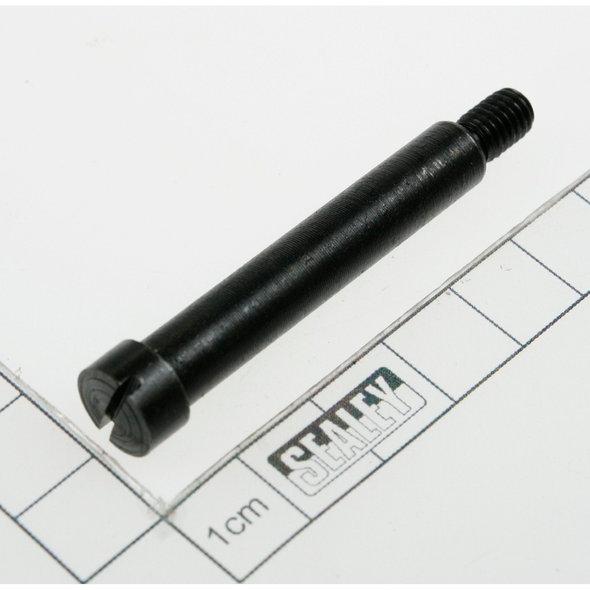 Sealey Bolt m6x55