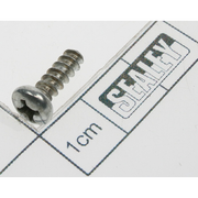 Sealey Rd head s/t screw m3.8 x 12