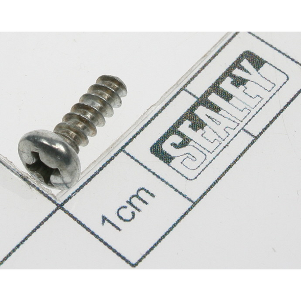 Sealey Rd head s/t screw m3.8 x 12