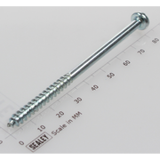 Sealey Rd head s/t screw m3.8 x 80