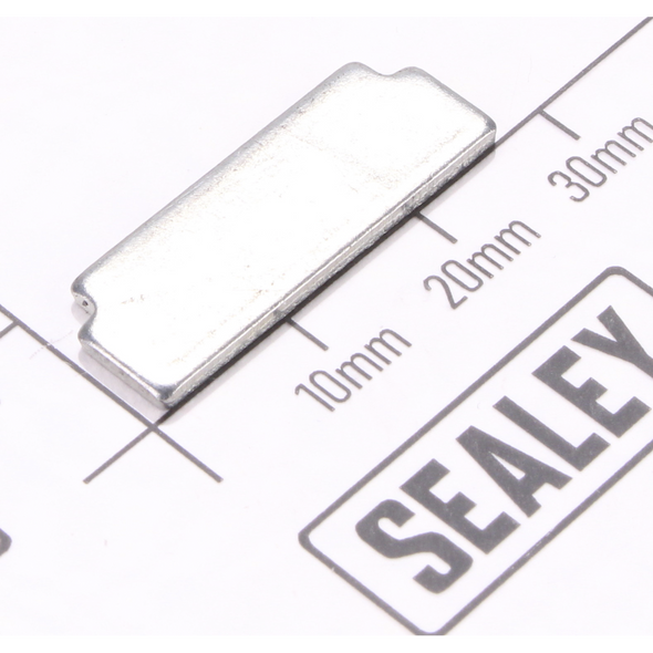 Sealey Magnet Support