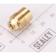 Sealey Needle Packing Screw