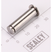 Sealey Trigger Pin
