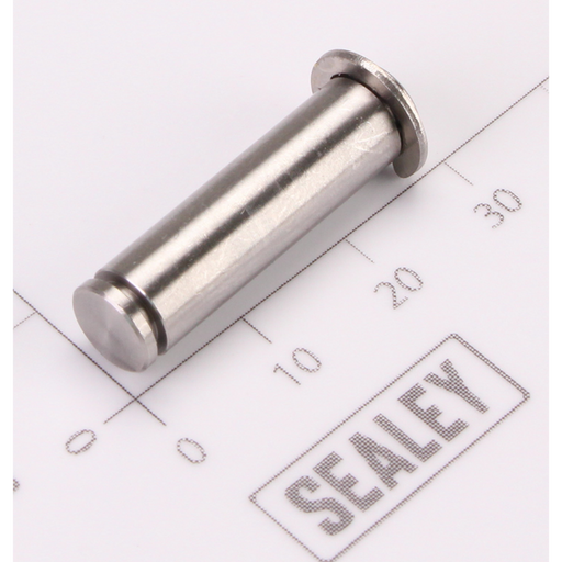 Sealey Trigger Pin