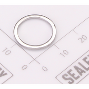 Sealey Gasket