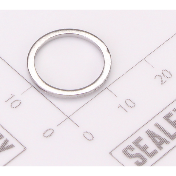 Sealey Gasket