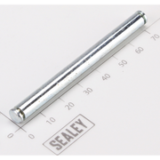 Sealey Pin