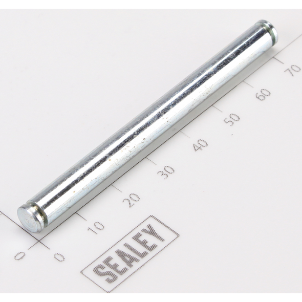 Sealey Pin