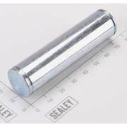 Sealey Pin