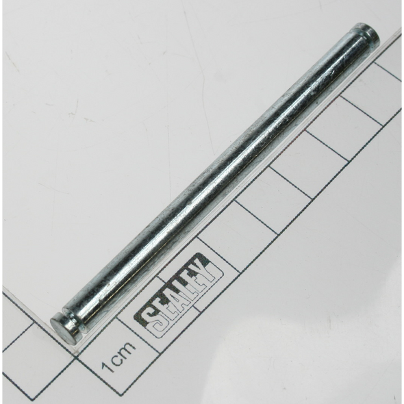 Sealey Pin