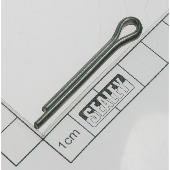 Sealey Pin