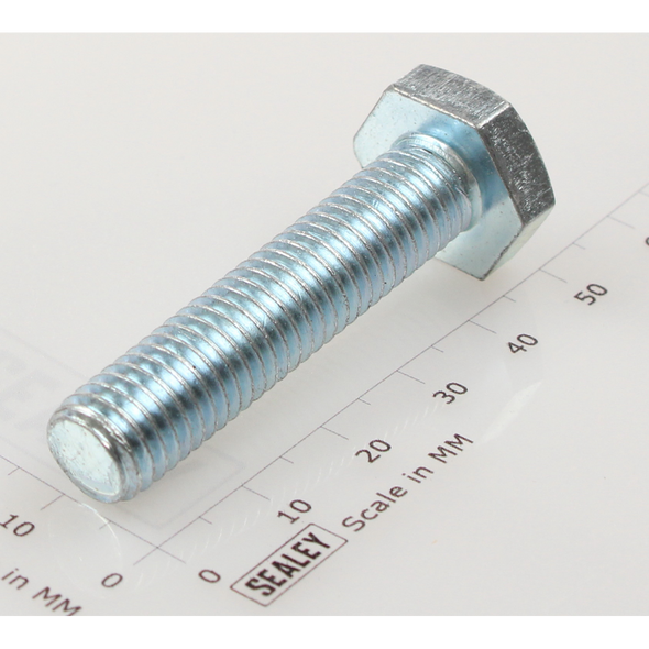 Sealey Hex head set screw m10x45mm single