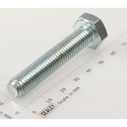 Sealey Hex head set screw m10x55mm single