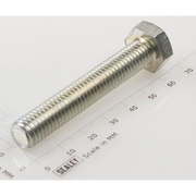 Sealey Hex Head Set Screw M10 X 60 Zinc