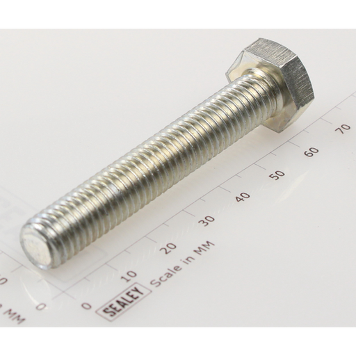 Sealey Hex Head Set Screw M10 X 60 Zinc