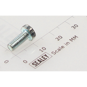 Sealey Hex head set screw m4x10mm single