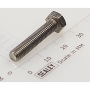 Sealey Hex head set screw m5x25mm single